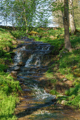 Pasture with a waterfall a summer day