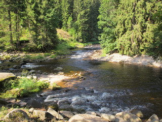 The confluence of the Vydra and Kremelna rivers. National Park Sumava ( Czech Republic)