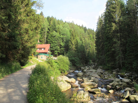 รูปภาพVydra เลือกดูภาพถ่ายสต็อก เวกเตอร์ และวิดีโอ382 Adobe Stock