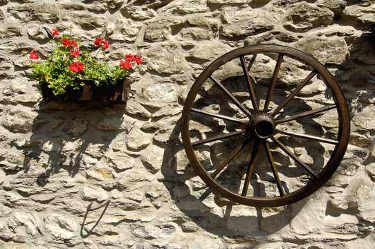 roue fleur soleil environnement