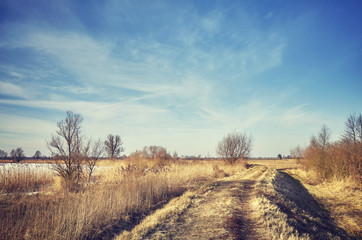 Vintage toned picture of a rural winter landscape with a walking path.