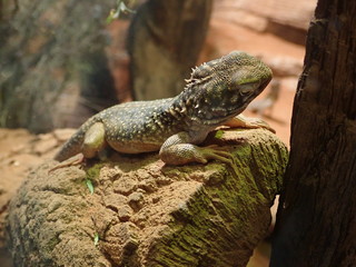 Australia travel holidays