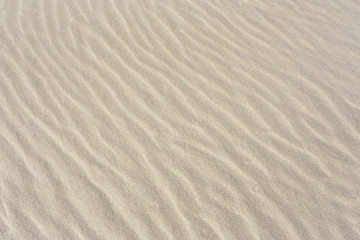 Sandy beach background with lines