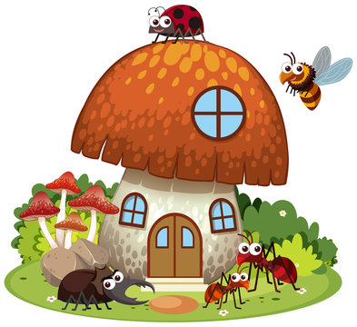 Many insects living in mushroom house