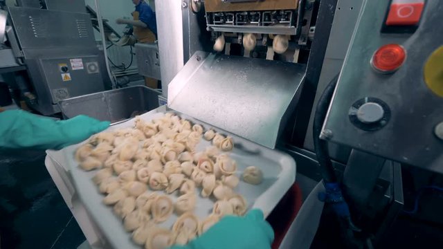 Meat dumplings are falling from a factory machine onto a tray where a worker is shaking them