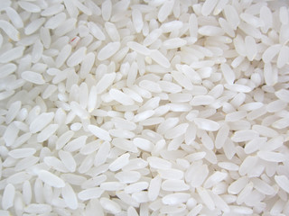 close-up of rice.food 