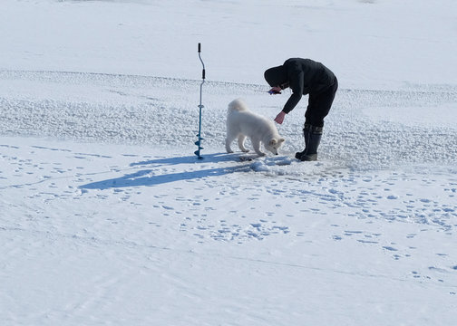 Man With A Dog Fishing In The Winter