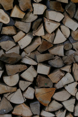 
Pile of chopped wood for the winter season