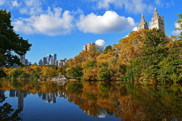 Fototapeta na wymiar Central Park in autumn