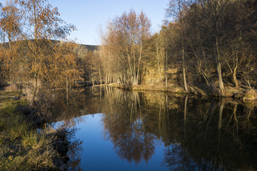 Fototapeta na wymiar Forest reflections on calm waters