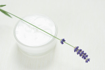 Cream, lavender flowers