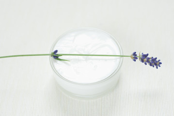Cream, lavender flowers