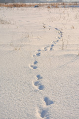 Sunny winter day in the countryside. The sign of winter-icicles
