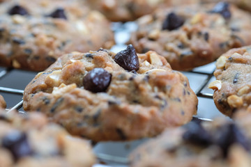 Chocolate chip cookies on grille after take off oven when finished baked