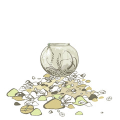 Octopus in a round aquarium. Octopus on a stony seashore in a glass jar.
