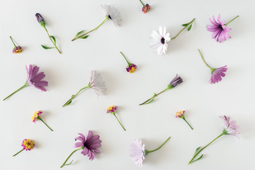 Creative spring layout made of colorful flowers and leaves on white background. Flat lay. Nature minimal concept.