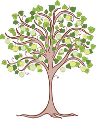 Obraz premium Apple tree with green apples