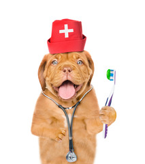 Puppy  with stethoscope on their neck and cat in medical hat  showing thumbs up. isolated on white background