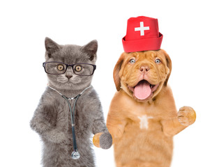Puppy  with stethoscope on their neck and cat in medical hat  showing thumbs up. isolated on white background