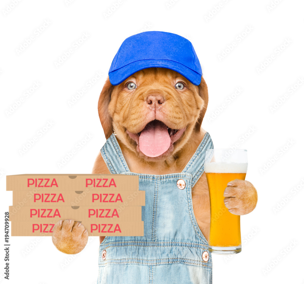 Poster funny pizza delivery dog with pizza boxes and beer. isolated on white background