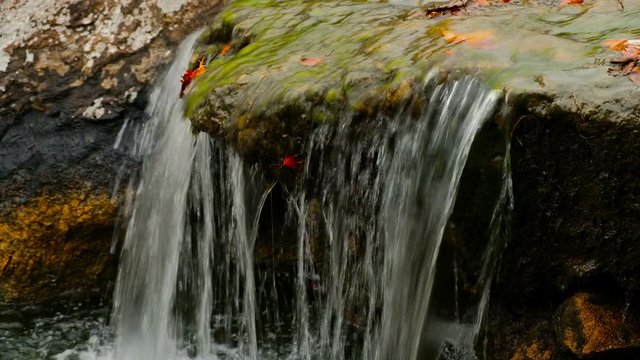 Creek in the forest, water faling wawn from big boulder half covered with moss