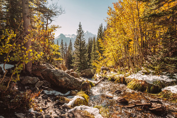 Season changing, first snow and autumn trees
