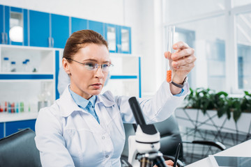 portrait of focused female scientist in lab coat looking at tube with reagent in hand in laboratory