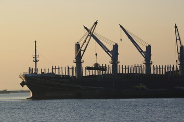 Fototapeta premium freighter