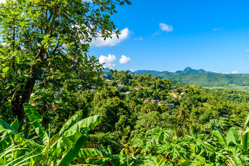 Tropical Rainforest on the Caribbean island of St. Lucia. It is a paradise destination with a white sand beach and turquoiuse sea.
