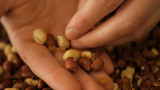 Man cleans roasted peanuts. Close-up.