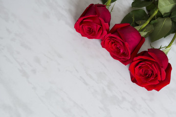 Three beautiful red roses on a marble table.