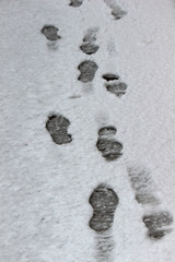 Huellas en la nieve 