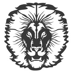 Fototapeta na wymiar Lion head isolated on white 2