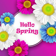 Colorful spring background with beautiful flowers. Vector illustration