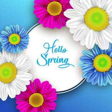 Colorful spring background with beautiful flowers. Vector