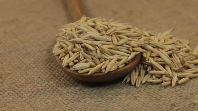 Rotating a spoon, overflowing with oat grains, lying on burlap.