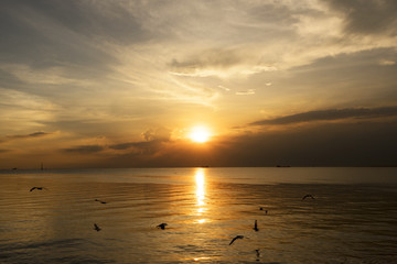 sunset