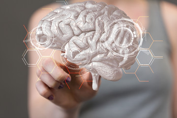 brain