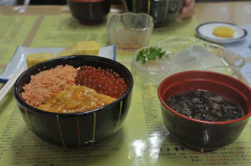 日本の美味しい丼料理