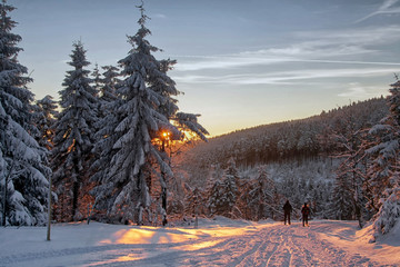Fototapeta premium Zimowy krajobraz