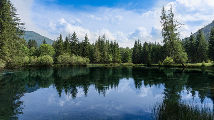 Fototapeta na wymiar Panoramic view of a pristine, crystal clear, mountain lake with beautiful spruce forest lining its shores