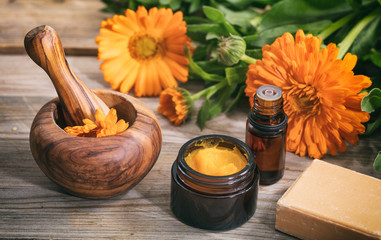 Calendula essential oil, ointment and a mortar on a wooden table, fresh blooming calendula background, - obrazy, fototapety, plakaty