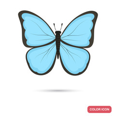 Beautiful butterfly color flat icon