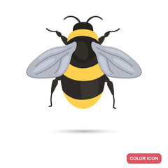 Bumblebee color flat icon