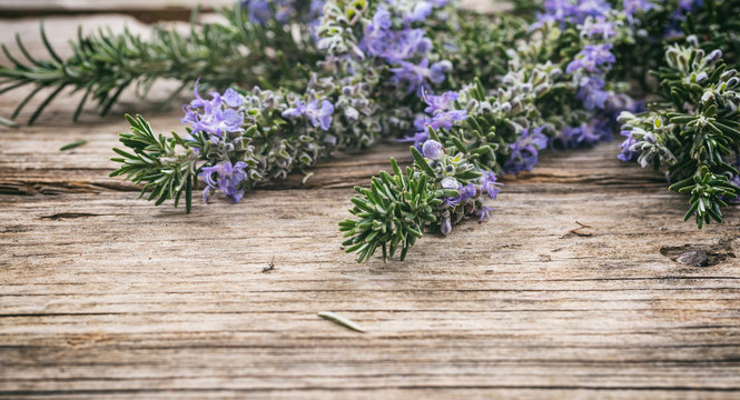 Fresh blooming rosemary on a wooden table, copy space