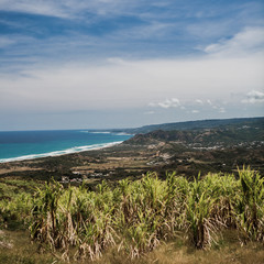 A Panoramic Landscape of a Valley and Coastline Beach in Barbados