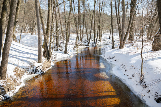 Winter landscape by a river