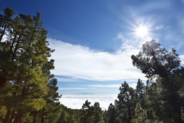 Fototapeta na wymiar La Palma Mountain View