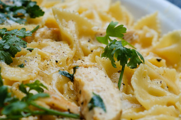 Close up Homemade   Chicken Alfredo Pasta. (selective Focus)