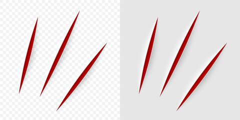 Vector realistic red cut with a office knife - obrazy, fototapety, plakaty